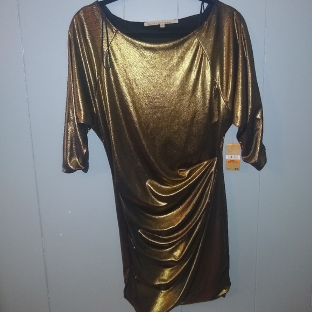 Rachel Roy NWT Gold Shimmer Dress